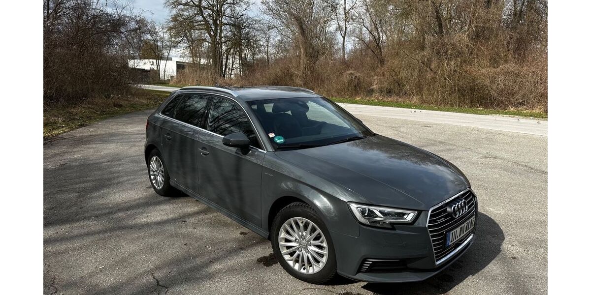 Audi A3 133.000 km 17.500 &euro; Ingolstadt 85053