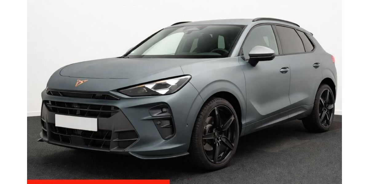 Cupra Terramar 13.428 km 50.999 &euro; Riedenburg 93339