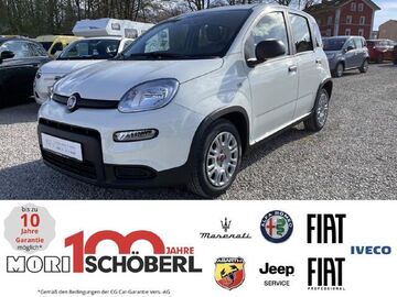 Gebrauchte Fiat Panda