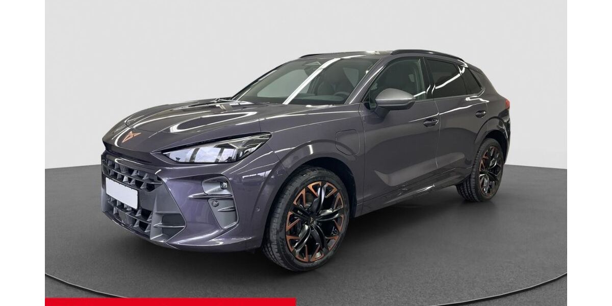 Cupra Terramar 13.900 km 45.550 &euro; Ingolstadt 85053